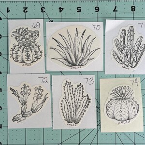 May include: Set of eight black and white line drawings of various cacti and succulents. Each drawing is on a white background with a black border and a number in the top right corner. The numbers range from 69 to 74. The drawings are labeled "HALOS" at the bottom.