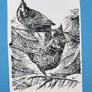 May include: Black and white illustration of two birds perched on a branch with pine needles. The birds have detailed feather patterns and are set against a white background. The artwork is a print on a white sticker.