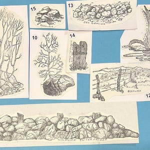 May include: A set of 12 black and white illustrations of nature scenes, including a tree, a fence, a pile of rocks, and a bird. The illustrations are numbered 8 through 15. The text "WILDLIFE ENTERPRISES" is printed at the bottom of the image.