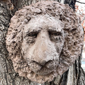 Art for the Garden | Tree Faces | Wall Sculpture | Garden sculpture| Portrait Sculpture | male face sculpture