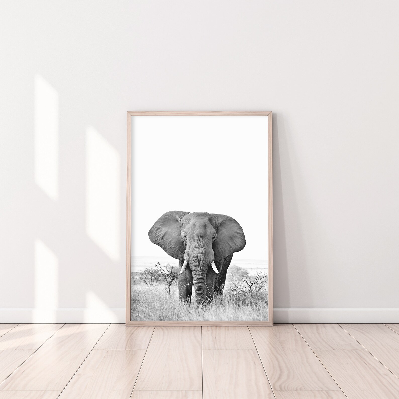 Elephant Print Black and White Elephant Print Elephant Etsy Australia