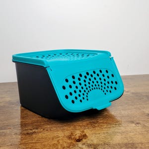 May include: A teal and black plastic storage container with a vented lid. The lid has a series of small holes for ventilation.