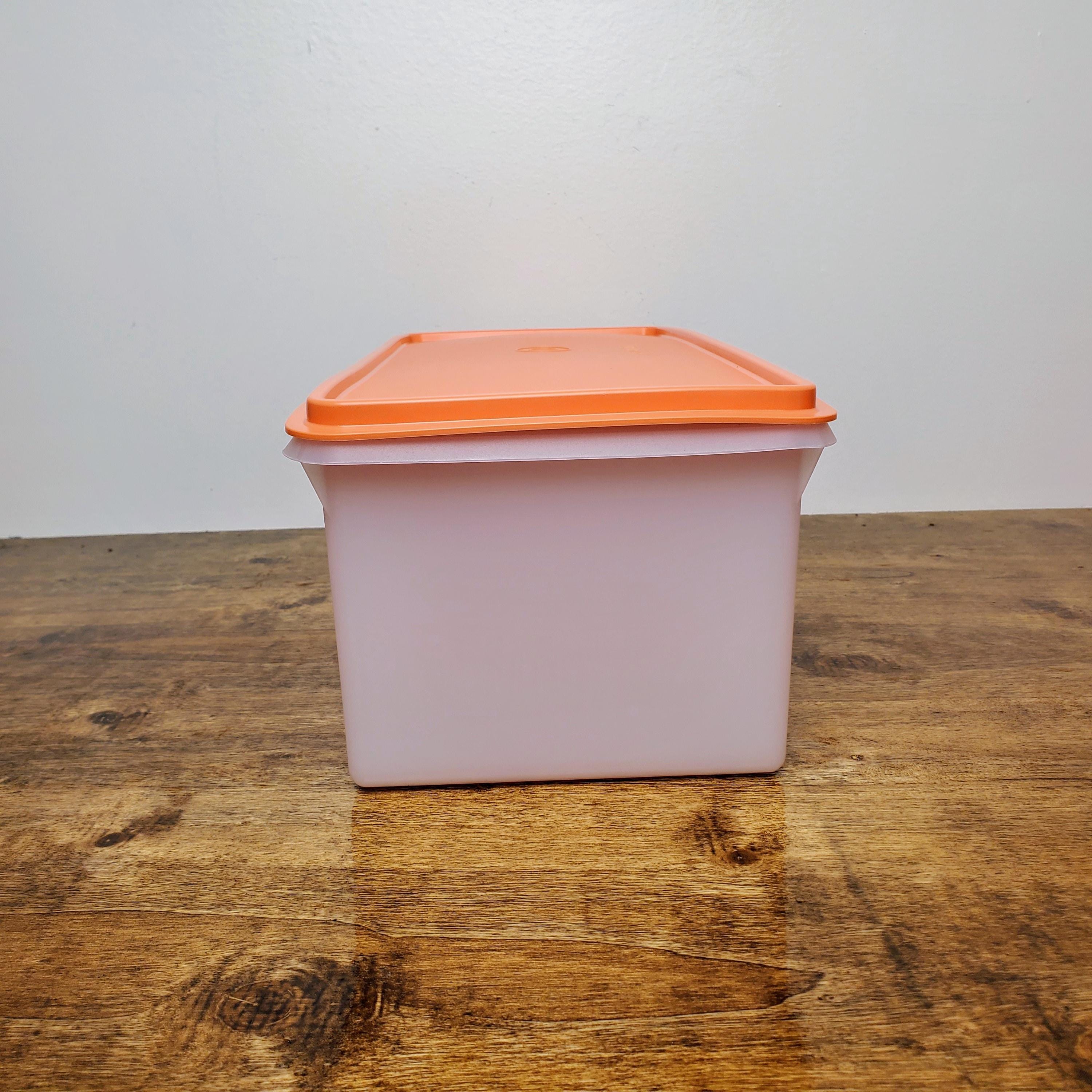 Tupperware Sheer Jumbo Bread Server Keeper Storage Box Container