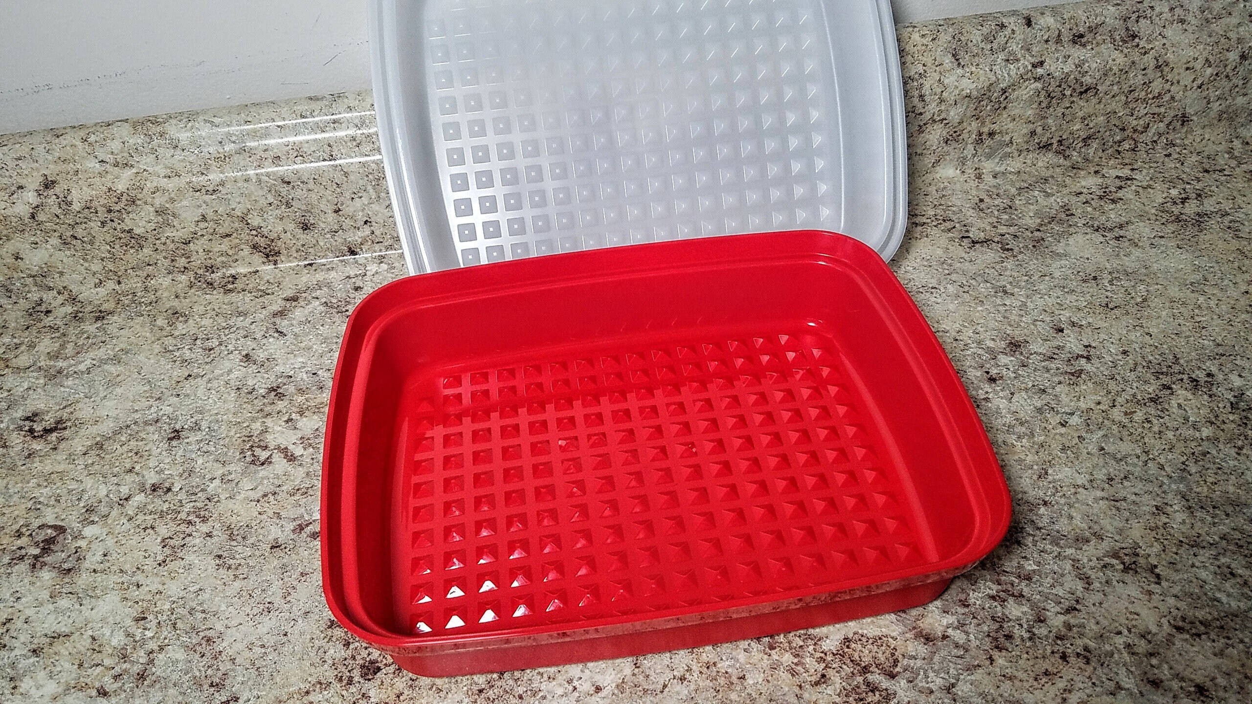 Vintage Tupperware #1292 Hot Dog Keeper / Bacon Storage Meat Tenderizer  Container (Red)