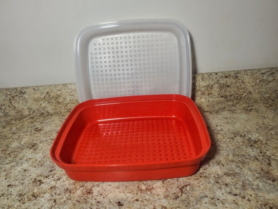 VTG Tupperware Season & Serve Meat Marinade Container Paprika Red