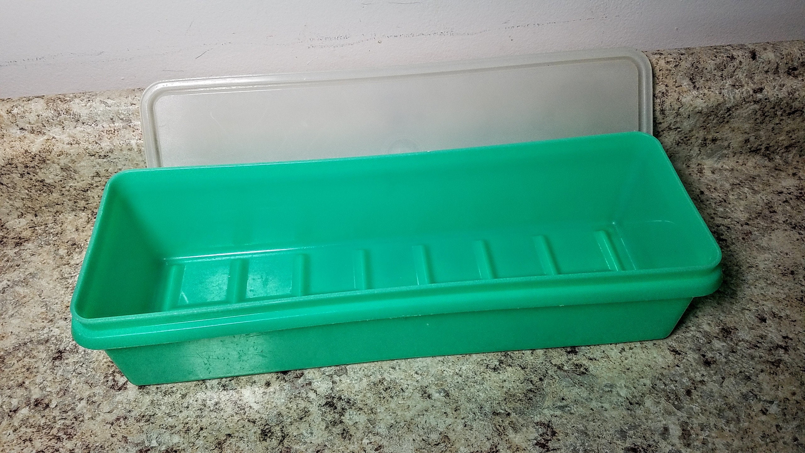 Tupperware Jadeite Green Celery Keeper 892 With Sheer Lid Etsy