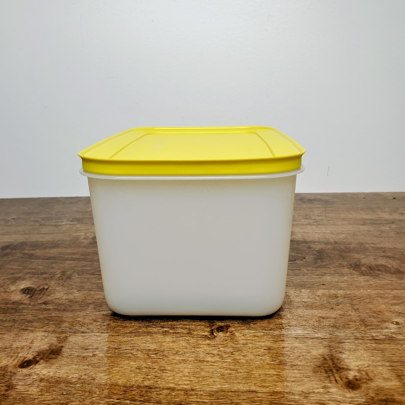 Tupperware Freezer Mates Plus Medium Deep Storage Box