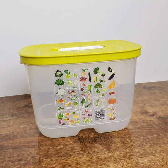 Tupperware スタータ－6点セット Amazon.com: Tupperware Date, Store & Freeze Collection 6