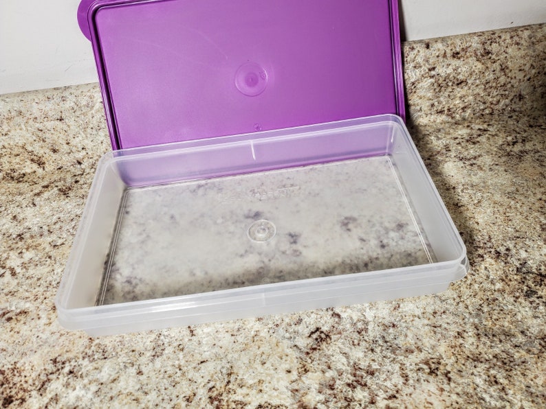 TUPPERWARE Bacon Keeper Jr. Cold Cut Deli Keeper Purple NEW Etsy