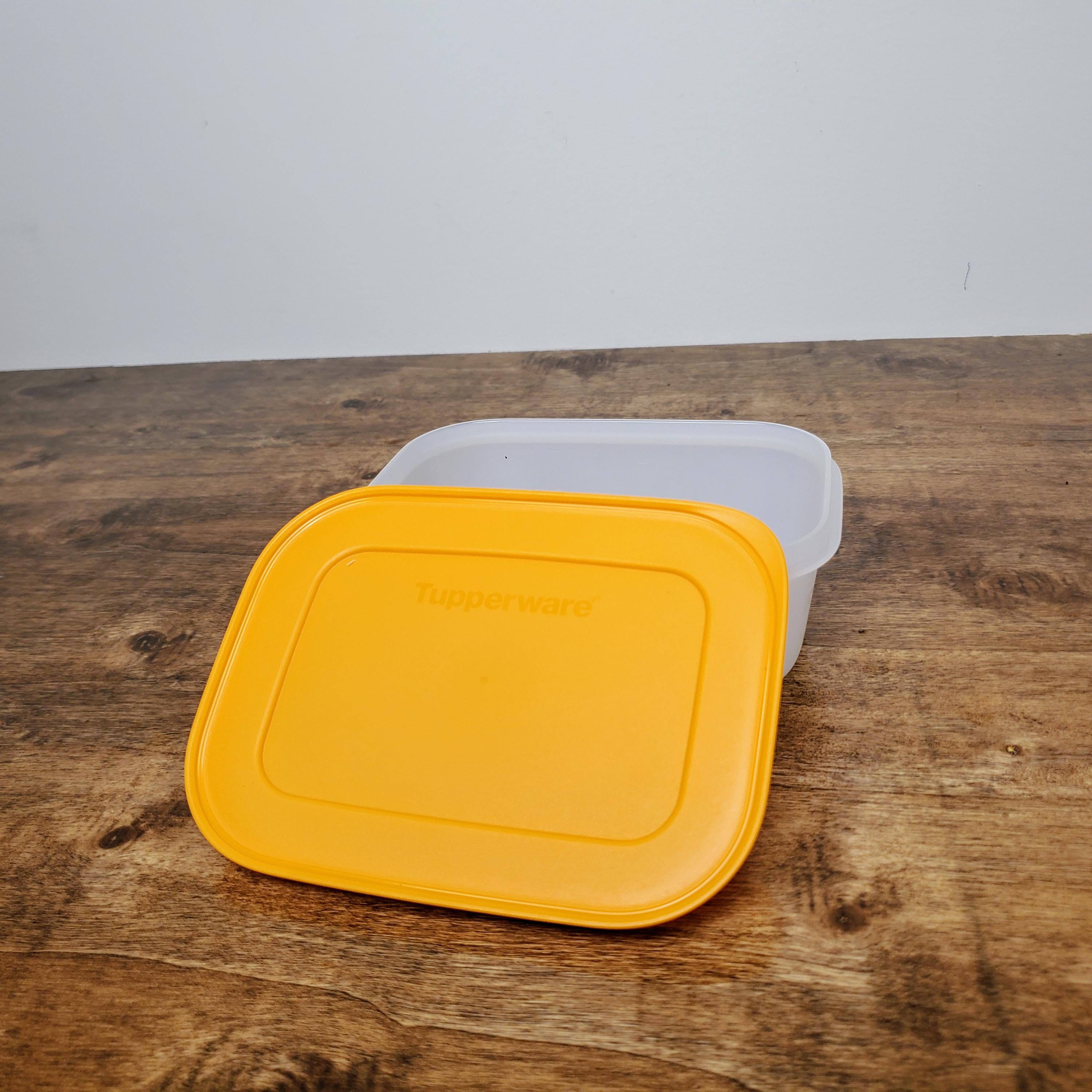 Tupperware Freezer Mates Plus Small Shallow 450ml Papaya Lid