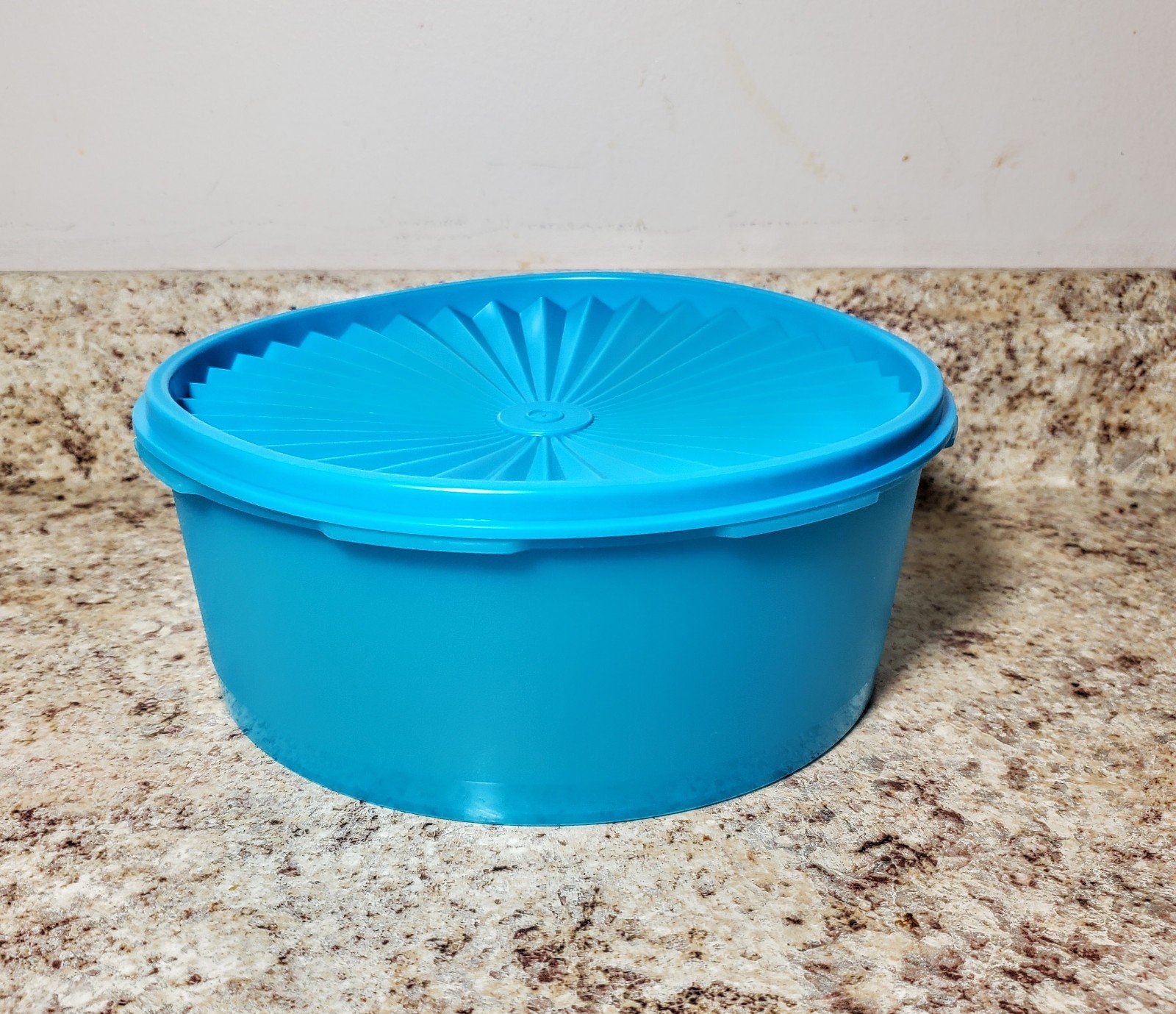 Tupperware 12 Round Pie Cookies Cupcake & Pizza Container Blue Seal New  4889 