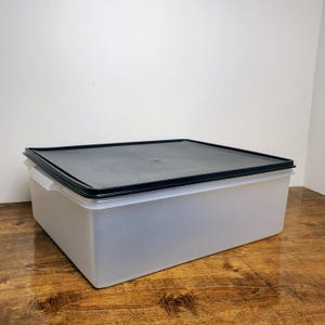 May include: A clear plastic storage container with a black lid. The container is rectangular and has a smooth surface. The lid is slightly raised and has a small, round knob on top.