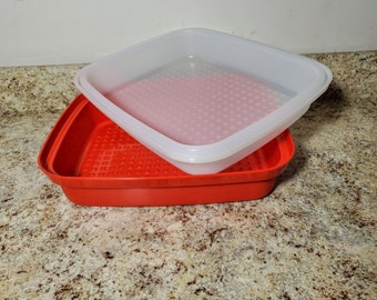 Tupperware Meat Marinade Container Refrigerator Box Meat -  Israel