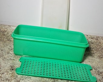 タッパーウェア　りーちゃん TUPPERWARE Vintage Jadeite Green Celery Crisper Keeper #892
