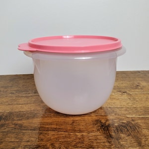 May include: A clear plastic storage container with a pink lid. The container is round and has a smooth surface. The lid is flat and has a slight lip around the edge.