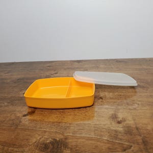 Tupperware Snack Box