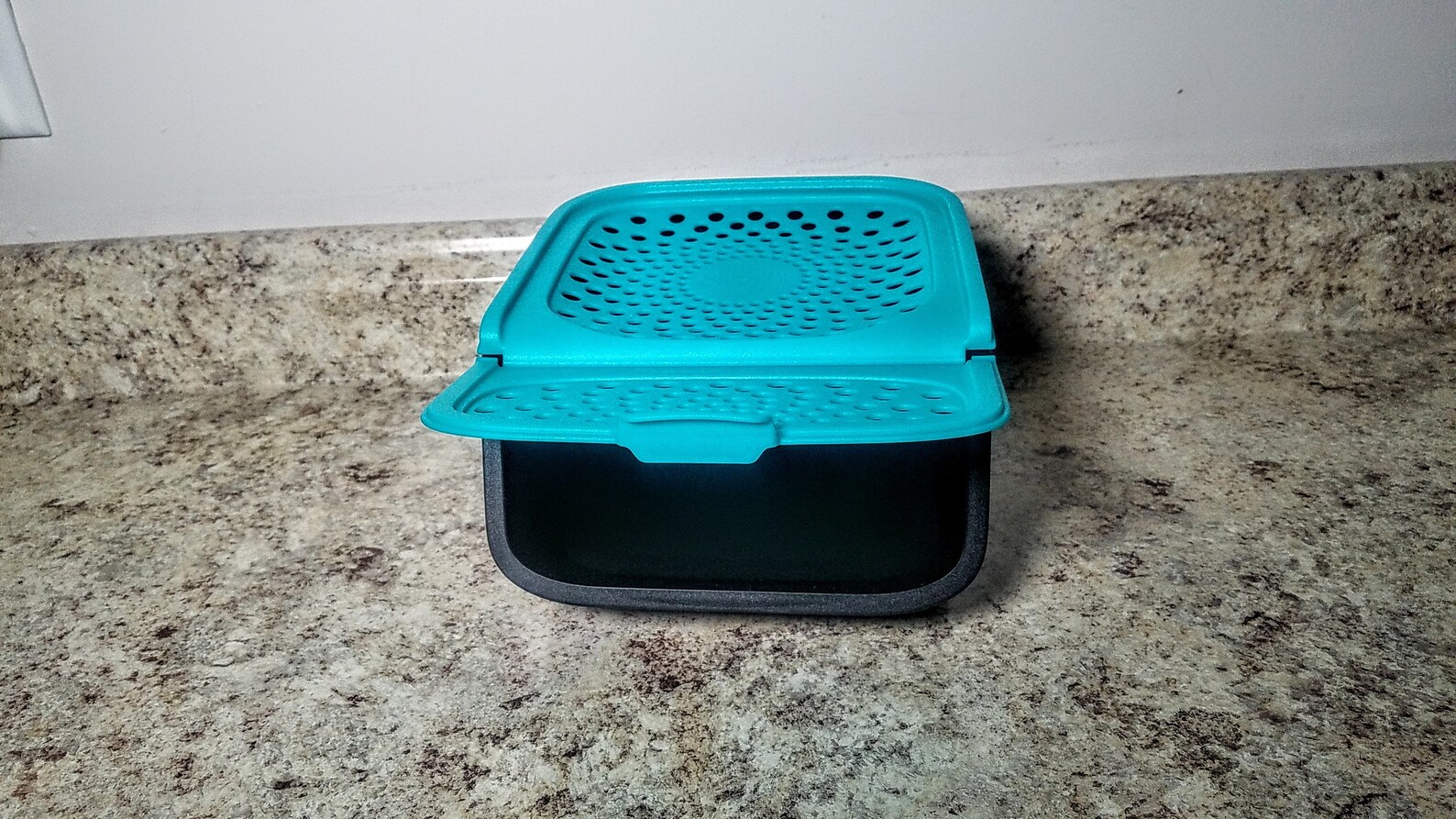 Tupperware Onion & Garlic Smart Container 2.3L Garlic N All Potato