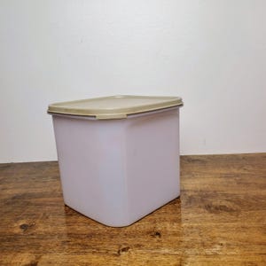 May include: A rectangular, light purple plastic container with a tan lid. The container is sitting on a wooden surface. The lid is rectangular and fits snugly on top of the container.