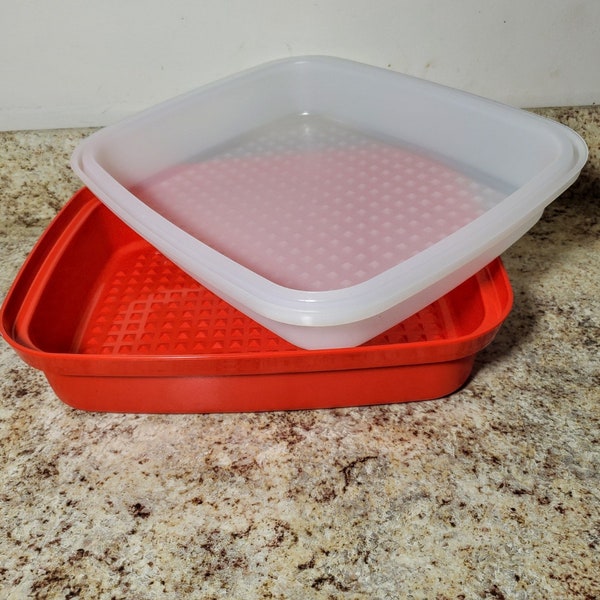 TUPPERWARE Season Serve Large Marinade Container Passion Red Brand New