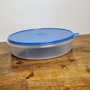 May include: A clear plastic round container with a blue lid. The container has a removable divider inside. The container is sitting on a wooden surface.