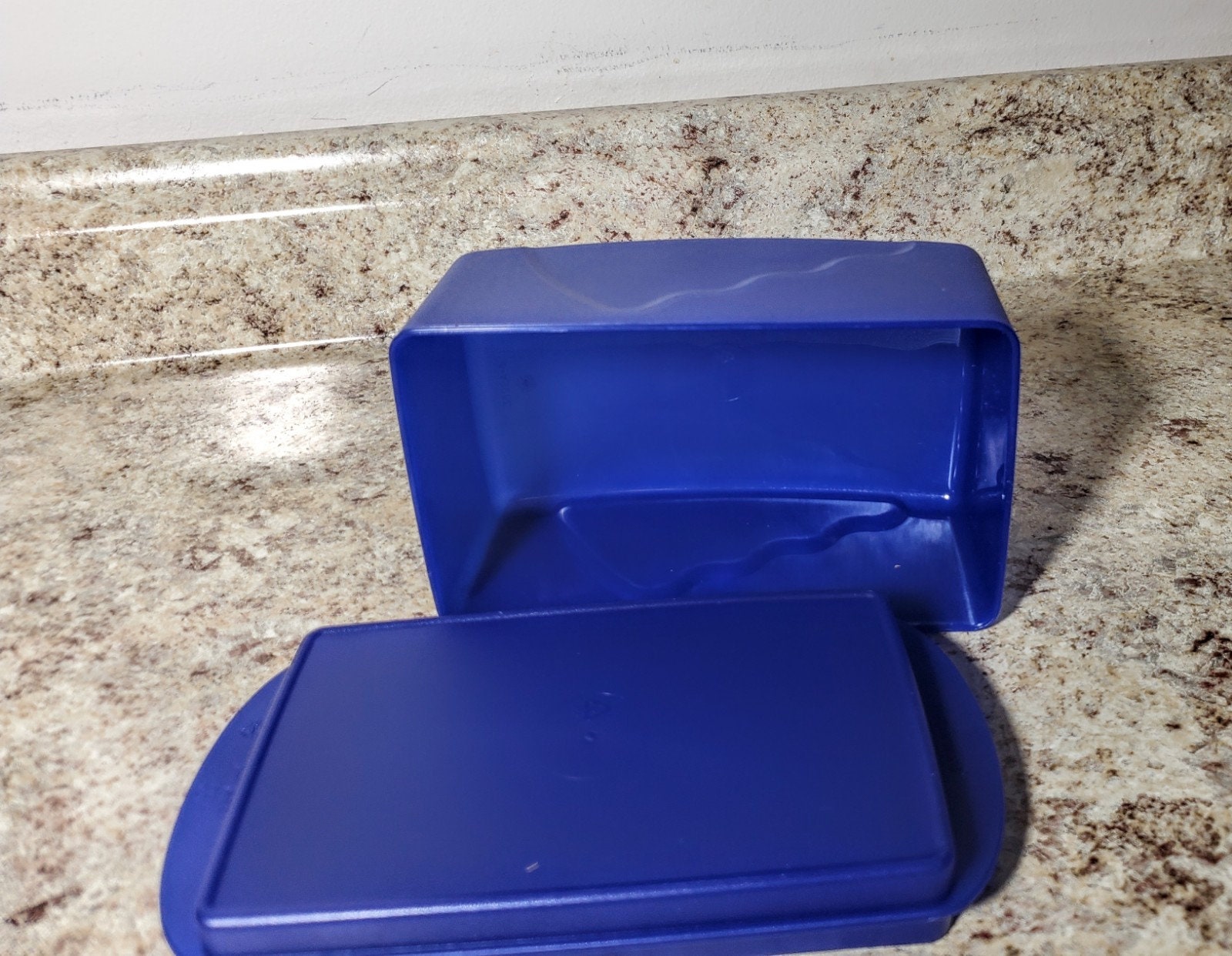 Tupperware 12 Round Pie Cookies Cupcake & Pizza Container Blue Seal New  4889 