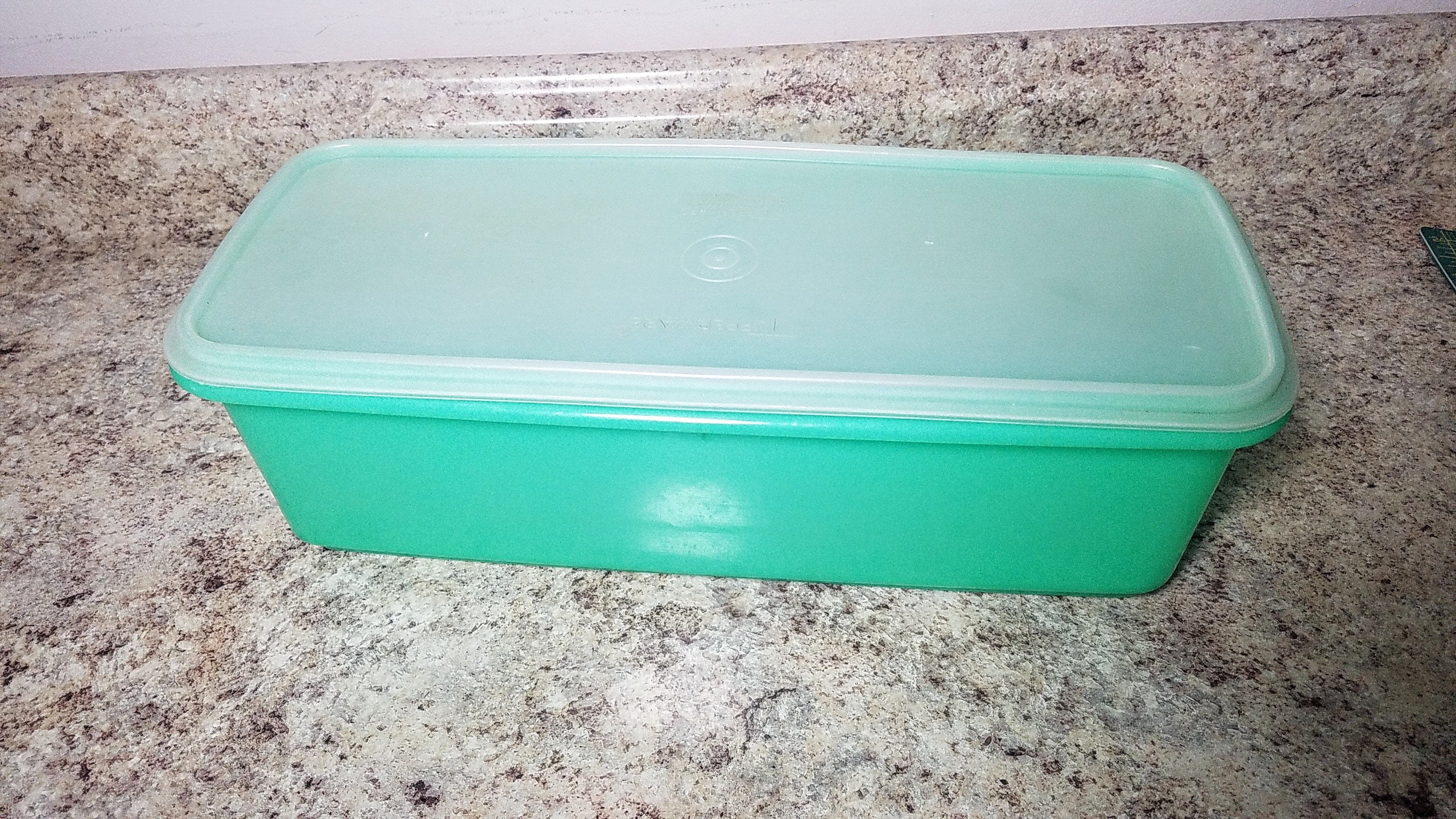 Jadeitte Vintage Tupperware CELERY KEEPER Storage Container Etsy