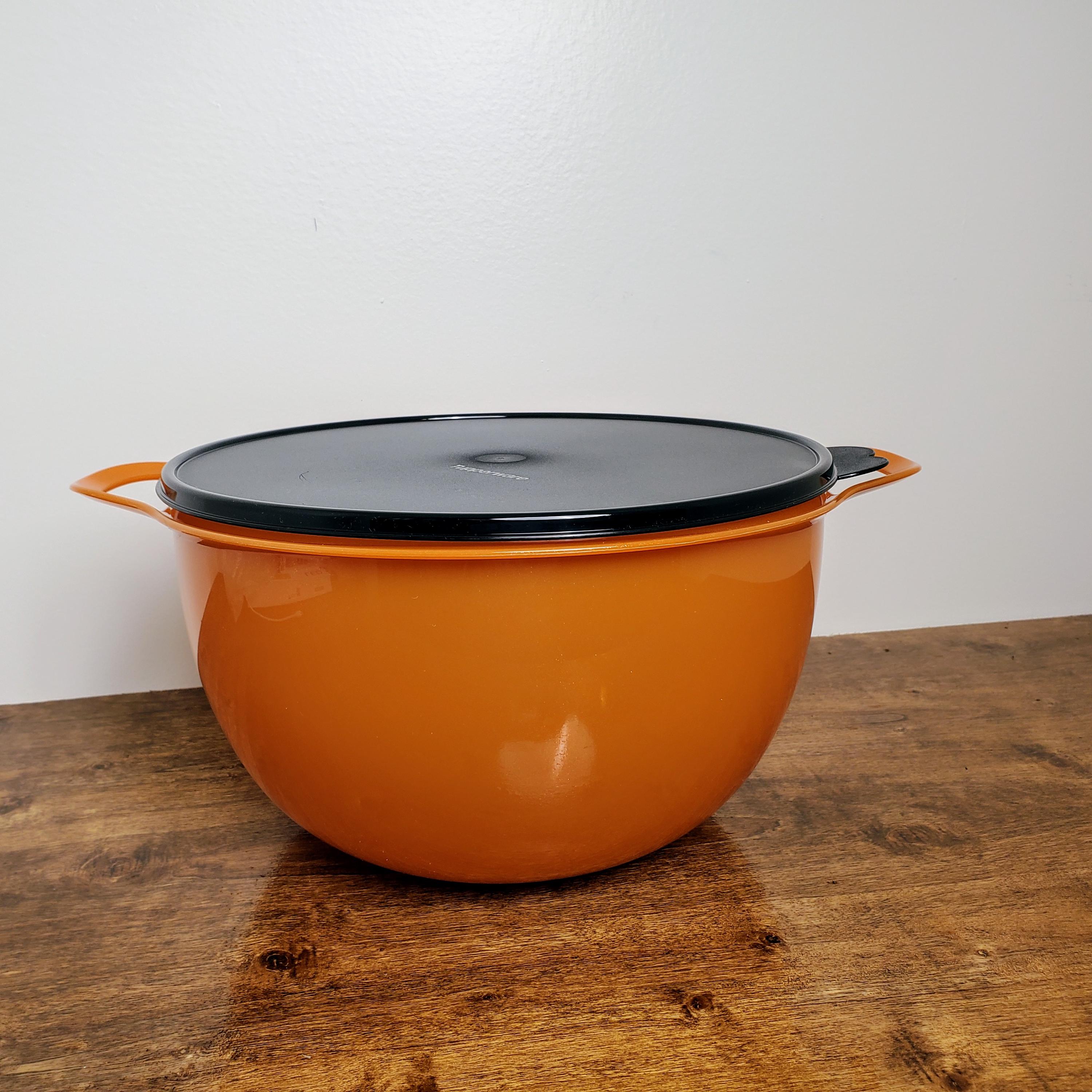 2 bols Tupperware - Arts de la table