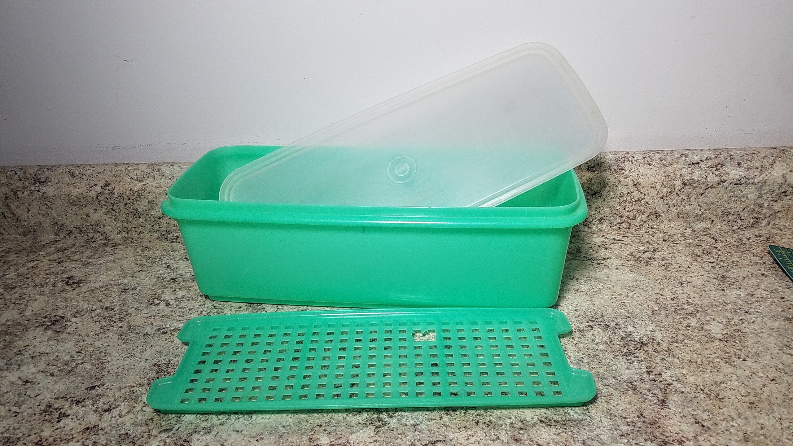 Jadeitte Vintage Tupperware CELERY KEEPER Storage Container Etsy