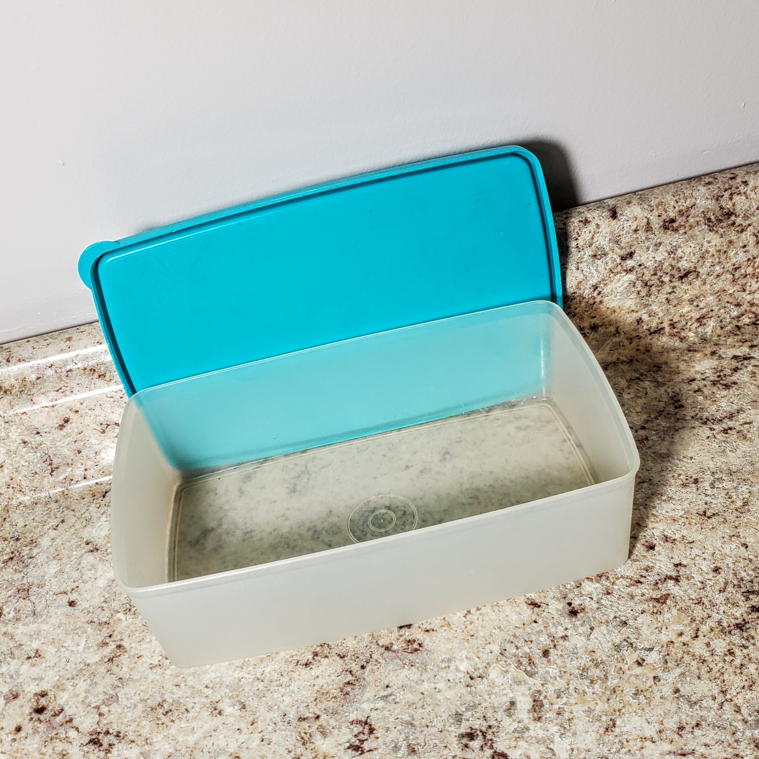 Vintage Tupperware Pac N Store Rectangle Sheer Container 713