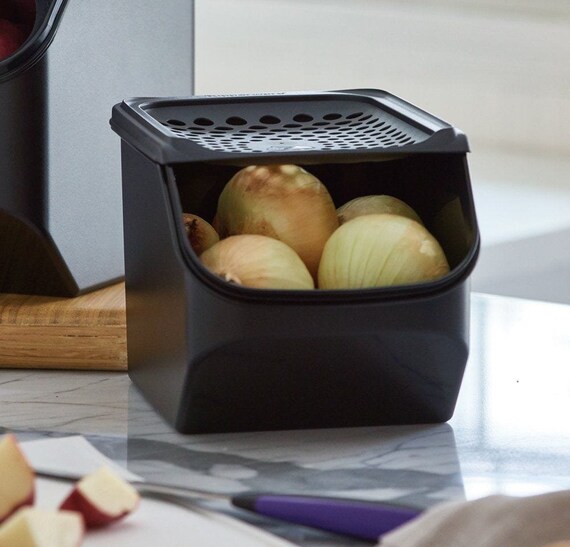 Tupperware 4013 Modular Smart Black Garlic & Onion - Etsy Finland