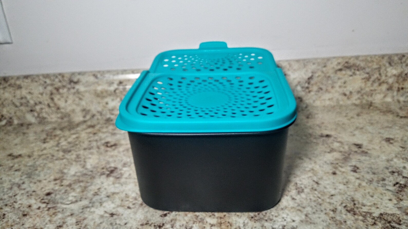 Tupperware Onion & Garlic Smart Container 2.3L Garlic N All Potato