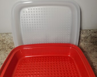 Tupperware 1294-8 Meat Marinade Container. Red Bottom. Made In USA. 12x10