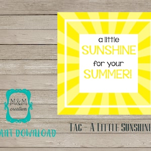 EDITABLE SUMMER tag - A Little Sunshine for your Summer!