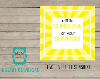 EDITABLE SUMMER tag - A Little Sunshine for your Summer!