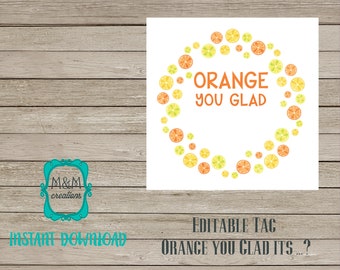May include: Printable tag with a circle of orange and lemon slices. The text reads "Orange you glad" in orange letters.