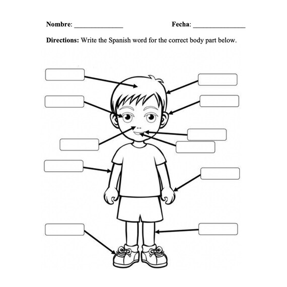 Spanish Body Parts Worksheet For Kids