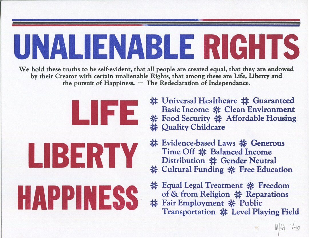 Redeclaration of Independence - Etsy