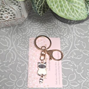 Può includere: Un portachiavi color oro con un ciondolo a forma di procione dei cartoni animati con dettagli in bianco e nero. Il portachiavi include un anello diviso e un moschettone. Il ciondolo è appeso a una carta rosa con testo.