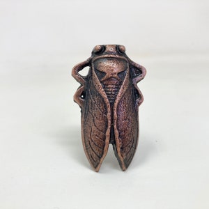 Tirador de cajón de cobre antiguo con forma de insecto cigarra para armario o cómoda.
