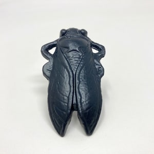 May include: A black cast iron cicada door knocker. The knocker is detailed with realistic cicada features and has a textured finish.