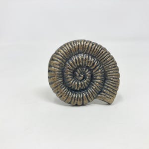 Könnte beinhalten: Ein Ammoniten-Schrankknopf aus Gusseisen in Gold- und Schwarz-Finish.