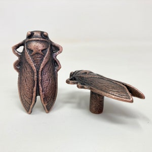 Könnte beinhalten: Zwei kupferfarbene Schrankknöpfe in Form einer Zikade. Die Knöpfe sind mit erhabenen Linien verziert und haben eine rustikale Oberfläche.