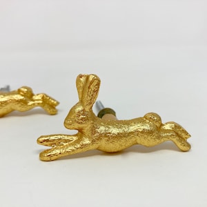 May include: Two gold rabbit shaped cabinet knobs. The rabbits are in a running position with their ears up.