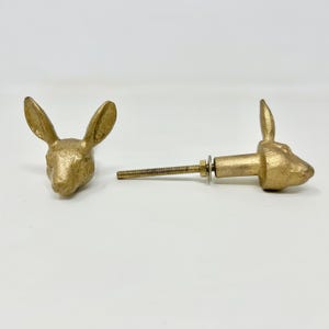 Puede incluir: Dos pomos de armario de cabeza de conejo dorados. Un pomo está unido a un tornillo de metal. El otro pomo está separado.