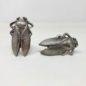 Könnte beinhalten: Zwei silberne Griffe für Schubladen in Form von Zikaden. Die Zikaden sind detailliert mit strukturierten Flügeln und einem erhabenen Kopf.
