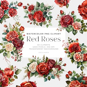 68 Red Rose Flowers PNG, Watercolor Floral Clipart Bouquets, Elements, Commercial Use, Digital clipart PNG