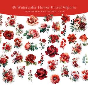 Peut inclure: 40 illustrations de fleurs et de feuilles en aquarelle avec un fond transparent. Les illustrations pr&eacute;sentent des teintes rouges, roses et vertes et comprennent des roses, des feuilles et d'autres &eacute;l&eacute;ments floraux.