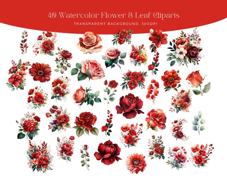 Peut inclure: 40 illustrations de fleurs et de feuilles en aquarelle avec un fond transparent. Les illustrations pr&eacute;sentent des teintes rouges, roses et vertes et comprennent des roses, des feuilles et d'autres &eacute;l&eacute;ments floraux.