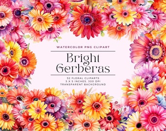 May include: A collection of 52 watercolor PNG clipart images of bright gerberas in various colors, including red, orange, yellow, pink, and purple. The flowers are arranged in a circular pattern with a white background. The text "WATERCOLOR PNG CLIPART Bright Gerberas 52 FLORAL CLIPARTS 5 X 5 INCHES. 300 DPI TRANSPARENT BACKGROUND" is displayed in the center of the image.