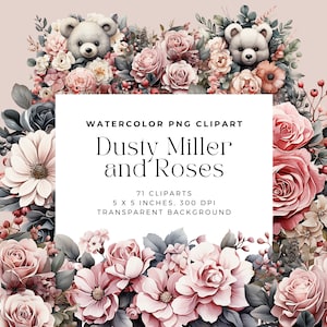 Dusty Miller en Roses Flowers PNG, Dahlia boeketten, aquarel bloemen clipart boeketten, elementen, commercieel gebruik, digitale clipart PNG